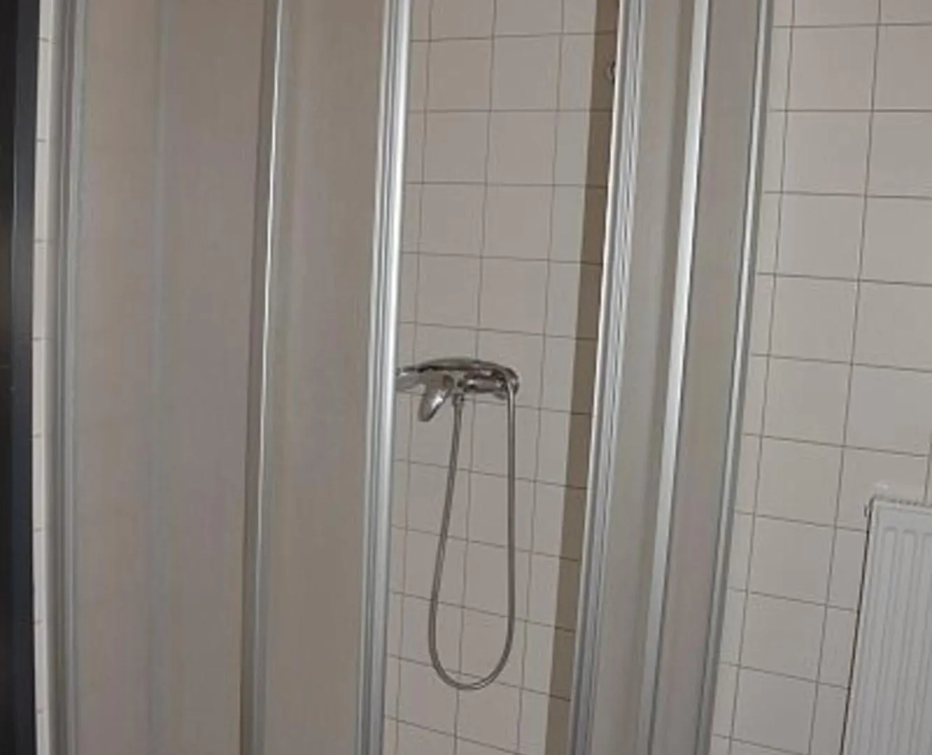 Apartment Studio Richtung Bischoeflichen Sitz Graz Austria